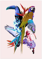 birds poster colorful birds and flowers in paradise parrot birds by Hope Bainbridge