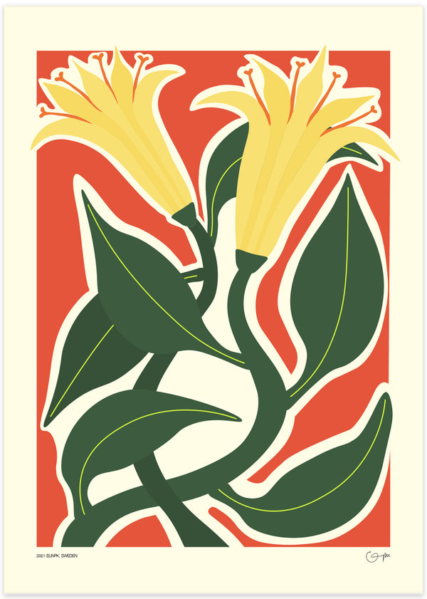 botanisk illustration poster av blommor och kvistar i röd bakgrund och gröna och gula blad av elin pk