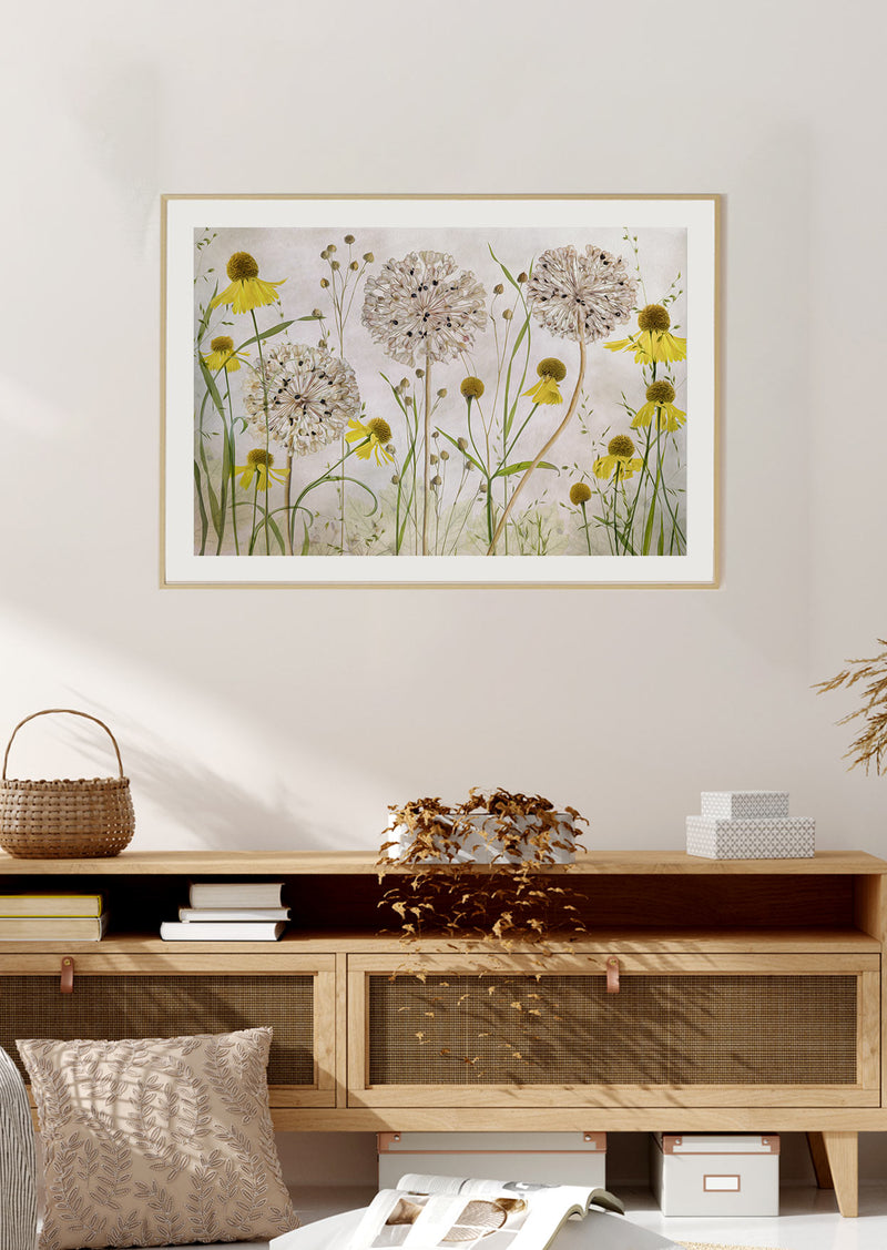Alliums & Heleniums Poster