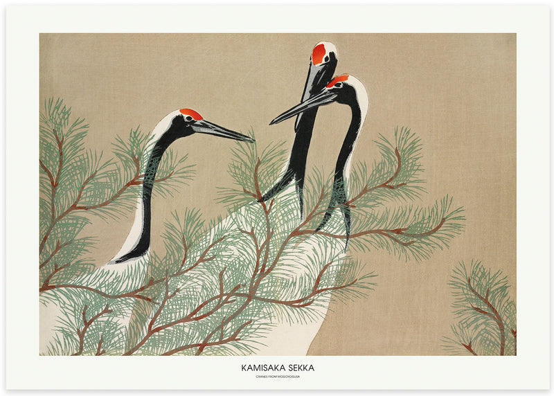 Three red crown cranes in conversation next to pine tree branches against a beige background.