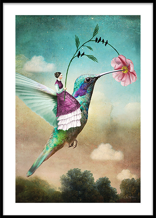 The Hummingbird Poster