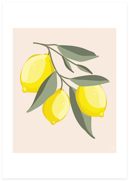 Limone Poster