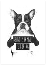 Being Normal Is Boring Poster