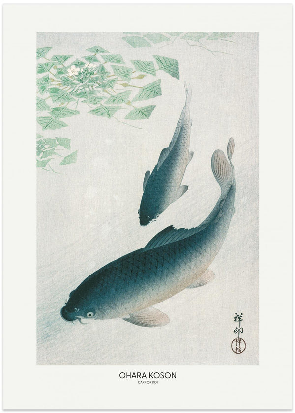 Ohara Kosons "Carp or Koi" poster av karp eller koi-fisken i grönt och vitt