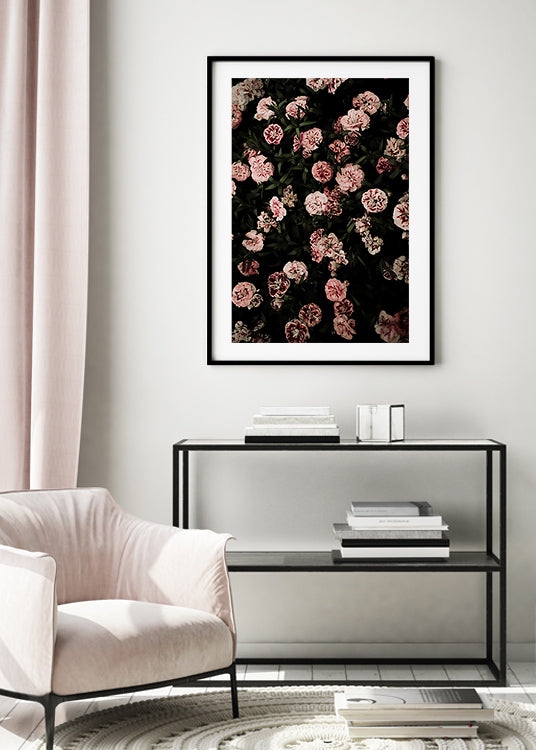 Pink Carnations Poster